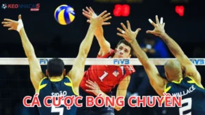 Cá cược bóng chuyền A-Z: Bí quyết bỏ túi cho người mới